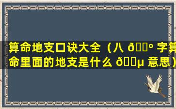 算命地支口诀大全（八 🐺 字算命里面的地支是什么 🐵 意思）